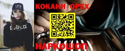гашик Усть-Илимск