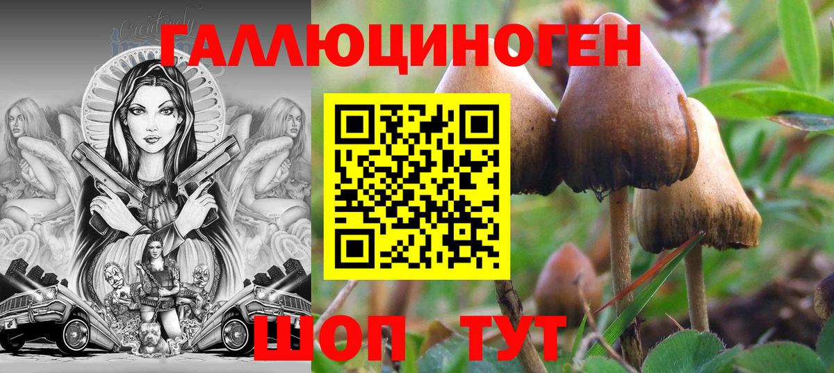 Псилоцибиновые грибы мухоморы  Вход с VPN  Малгобек 